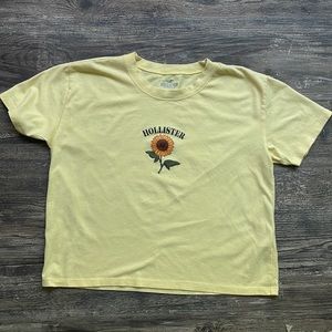 Hollister crop tee